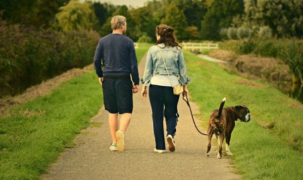 How Long Should You Walk Every Day