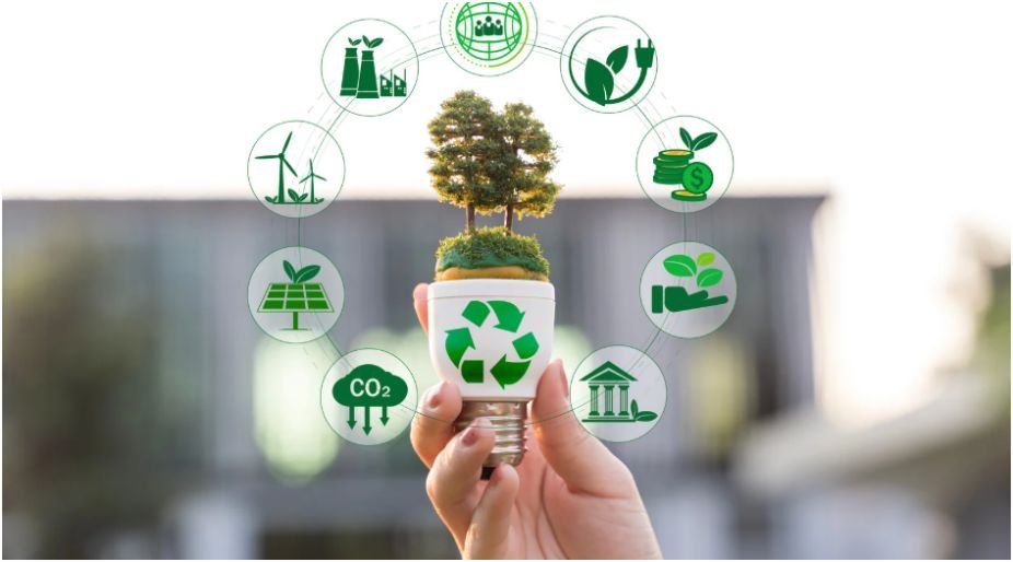 how to live more sustainably