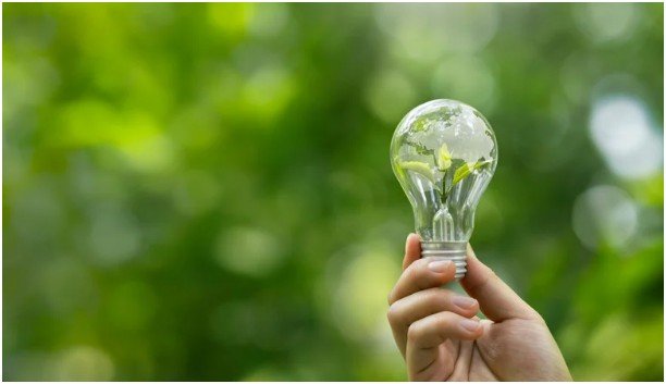 Reduce Your Carbon Footprint at Home