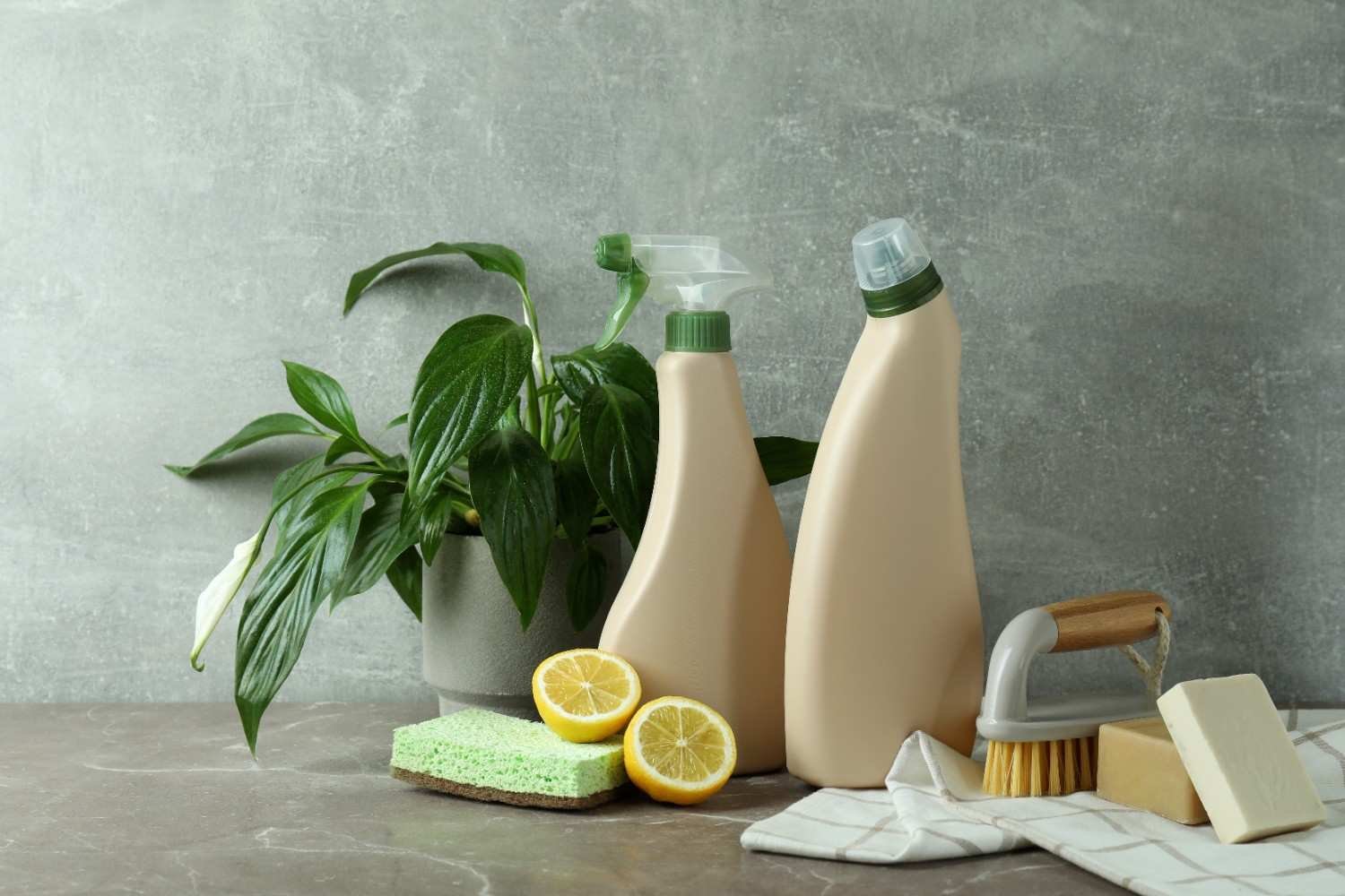 Multi-Surface and Floor Cleaners for Everyday Messes