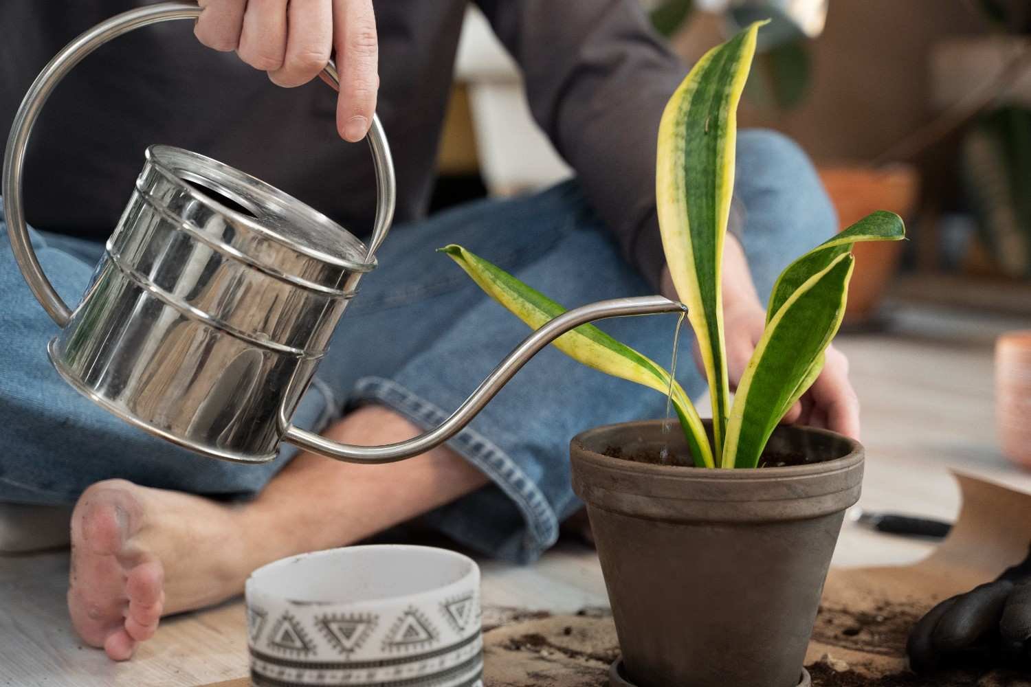 How Do You Set Up Self-Watering Planters Correctly?