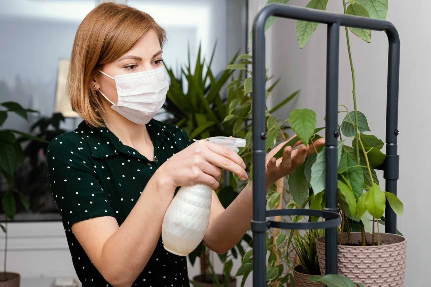 Which Plants Grow Best in Self-Watering Pots?