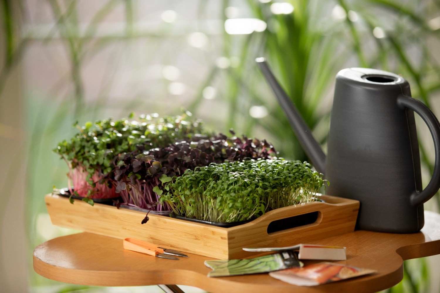 Which Beginner Hydroponic System Should You Choose?