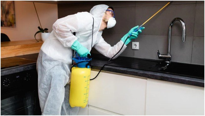 Clean-Up and Sanitization
