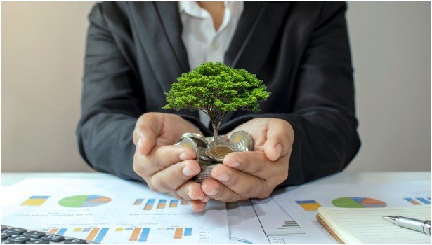 How property fits the bigger picture